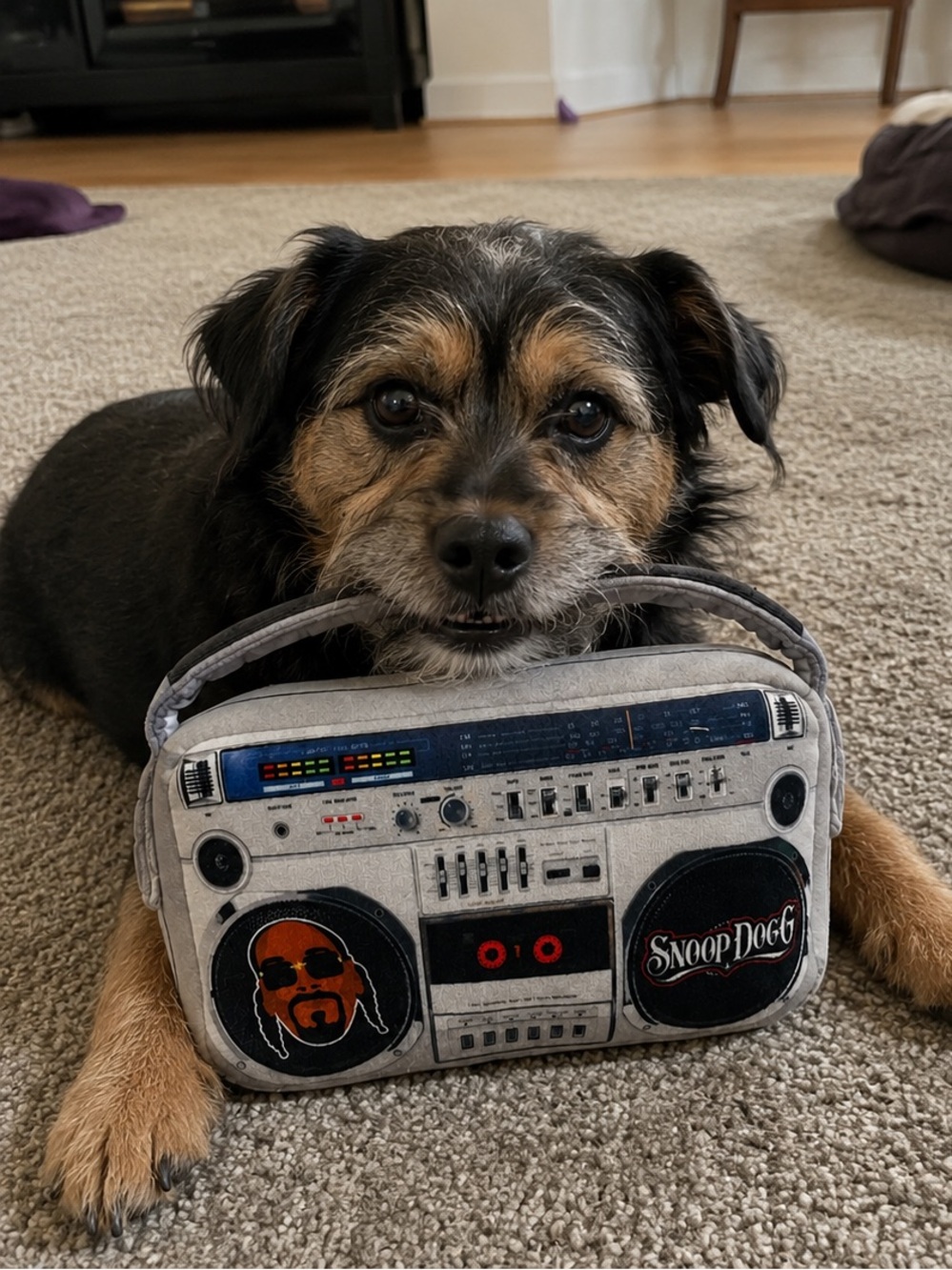 Snoop Dogg Boombox Dog Toy - sound does not work NWT